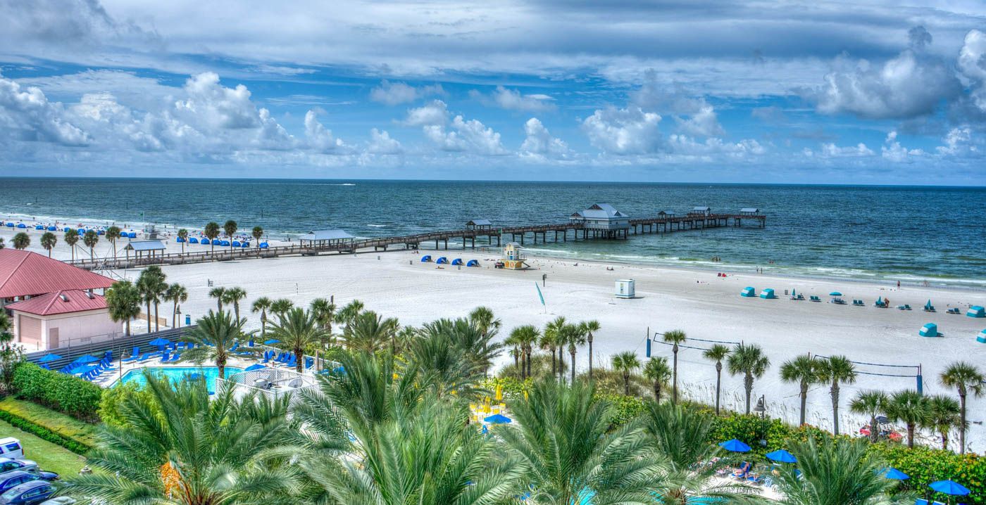 Your Tampa Bay Real Estate Expert