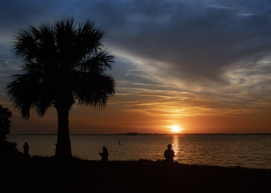 Sunset Palm Harbor