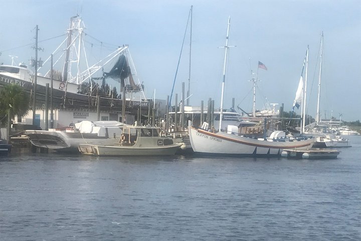 Tarpon Springs Sponge Docks